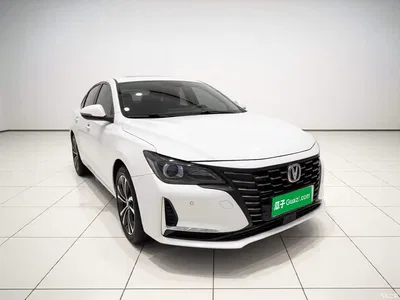 2022 Changan Ruicheng CC Blue Whale Edition 1.5T DCT Luxury, фото 3, лот 10888016
