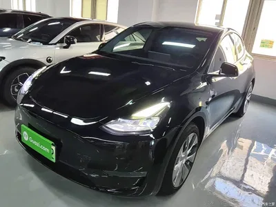 2021 Tesla Model Y Standard Range Rear-Wheel Drive, фото 2, лот 10370330