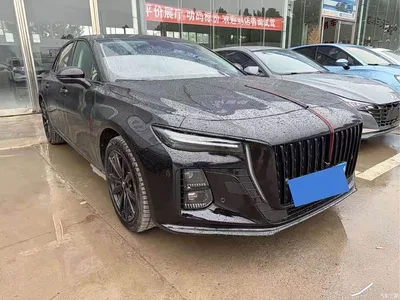 2025 Hongqi H5 1.5T DCT Flag Rhythm 500,000 Units Memorial Edition, фото 3, лот 10288658