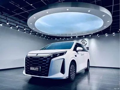 2025 BYD Xia DM-i 1.5T 180km Surpass Edition, фото 1, лот 11548458