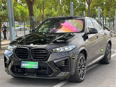 2023 BMW X6 M Model X6 M Thunder Edition, фото 1, лот 10605833