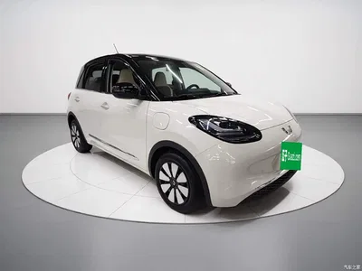 2024 Wuling Motors Wuling Bingo 333km Comfort Edition, фото 4, лот 10369020