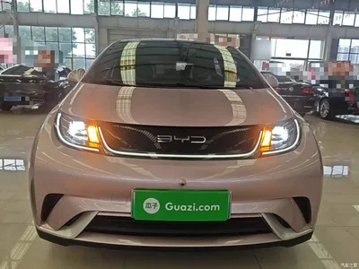 2021 BYD Dolphin Model 405km Fashion Edition, фото 3, лот 10264171