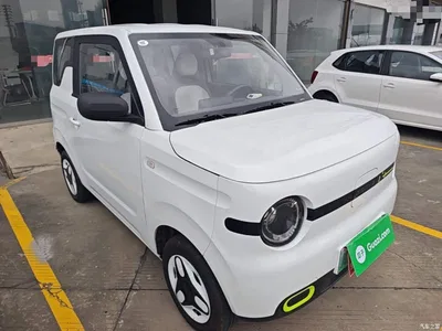2025 Geely Galaxy Panda mini 210km Vitality Bear, фото 4, лот 11137644