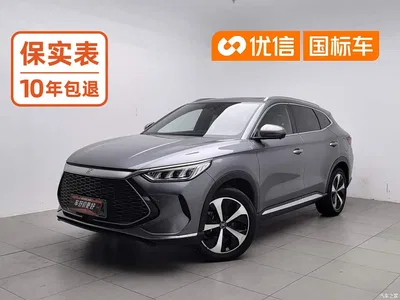 2021 BYD Song PLUS PHEV DM-i 51KM Honor, фото 1, лот 11449806