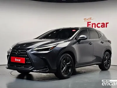 2024 Lexus NX 350h Premium, фото 1, лот 10178266