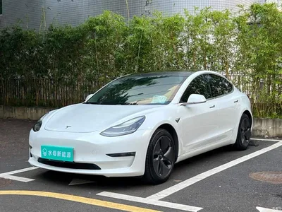 2019 Tesla Model 3 (Import) Long Range RWD Version, фото 1, лот 10479010