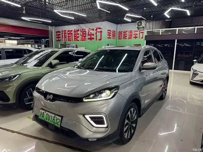 2021 Weltmeister EX5 EX5-Z Fun Dynamic Edition, фото 1, лот 10450286
