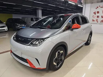 2021 BYD Dolphin Model 405km Fashion Edition, фото 1, лот 10264357