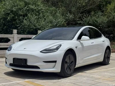 2020 Tesla Model 3 Standard Range Rear-Wheel Drive Upgrade, фото 1, лот 10370852