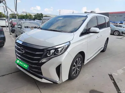 2023 GAC Trumpchi Trumpchi M8 Leading Series 390T Premium Edition, фото 2, лот 10421713