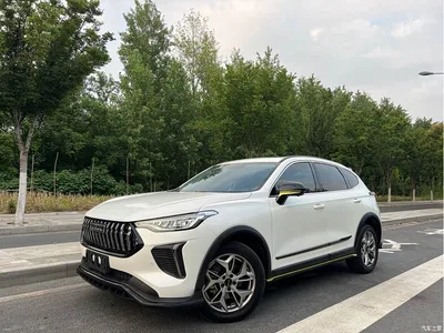 2022 Haval Chitu Power Edition 1.5T Purple Copper Rabbit, фото 1, лот 10301903