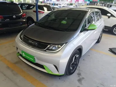 2021 BYD Dolphin Model 405km Fashion Edition, фото 2, лот 10260442