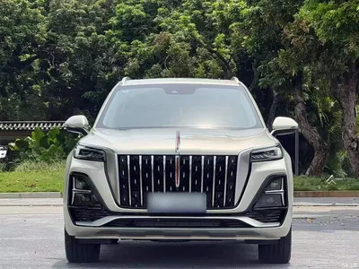 2023 Hongqi HS5 2.0T 4WD Flag Leader Pro, фото 3, лот 10289412