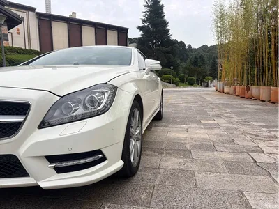 2012 Mercedes-Benz CLS 300 CGI, фото 4, лот 10393869