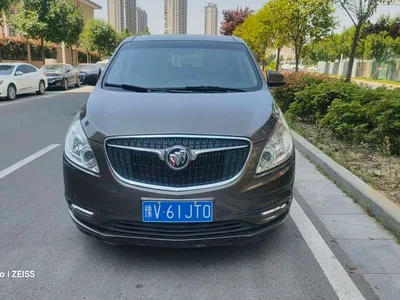 2017 Buick GL8 25S Luxury China V, фото 3, лот 11196751