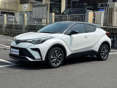 2021 Toyota IZOA Hybrid 2.0L Yichi Edition, фото 1, лот 10899090