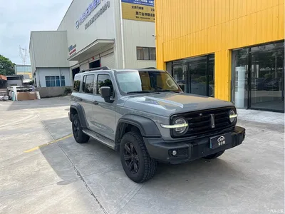 2021 Tank 300 Off-road Version 2.0T Conqueror, фото 3, лот 10344559