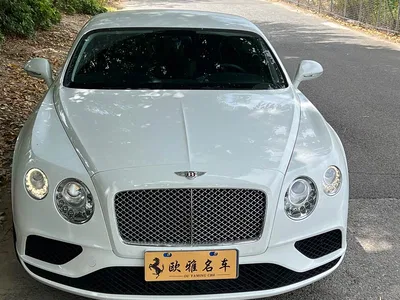 2017 Bentley Continental Gt, фото 2, лот 10244917