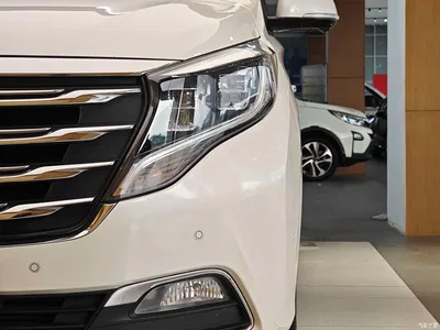 2018 GAC Trumpchi Trumpchi M8 320T Flagship Edition, фото 2, лот 10415928