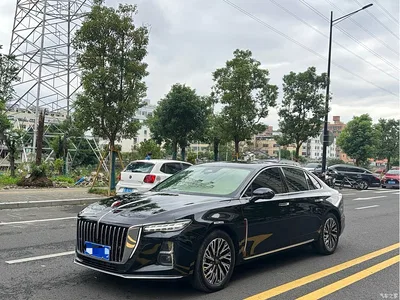 2024 Hongqi H5 2.0T Automatic Smart Connect Flag Smooth Edition, фото 1, лот 11535957