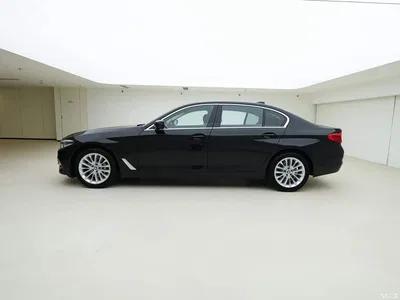 2019 BMW 5 Series 530Li xDrive Luxury Package, фото 4, лот 10445986