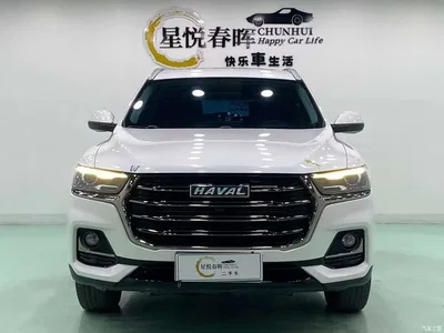 2021 Haval H6 1.5GDIT Automatic Champion Edition, фото 2, лот 10299623