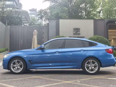 2019 BMW 3 Series GT 320i M Sport Package, фото 2, лот 10473251