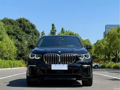 2022 BMW X5 Facelift xDrive 40Li Premium M Sport Package, фото 2, лот 10431574
