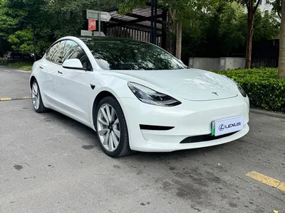 2019 Tesla Model 3 Standard Range Rear-Wheel Drive Upgrade, фото 3, лот 11586460