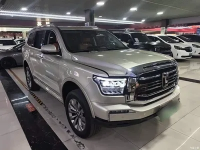 2024 Tank 500 EV Hi4-T, фото 4, лот 10451352