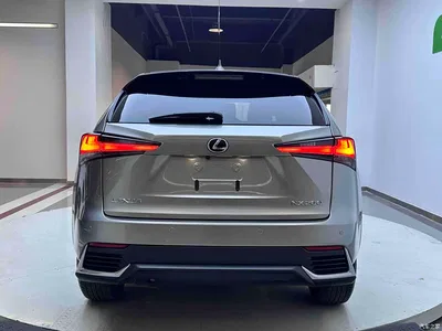2020 Lexus NX 200 FWD Fengyi Edition China VI, фото 4, лот 10399413