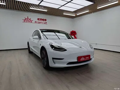 2019 Tesla Model 3 (Import) Long Range RWD Version, фото 3, лот 10356165