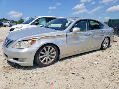 2010 LEXUS LS 460, фото 1, лот 10844298