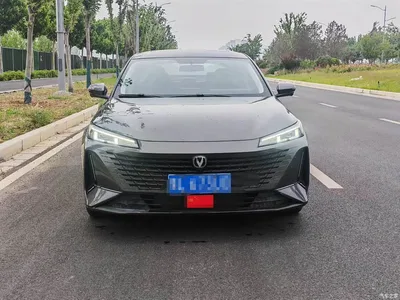 2023 Changan Yida Blue Whale NE 1.5T GDI DCT Enjoyment Edition, фото 2, лот 10252679