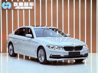 2020 BMW 5 Series New Energy 530Le Luxury Package, фото 3, лот 10625925