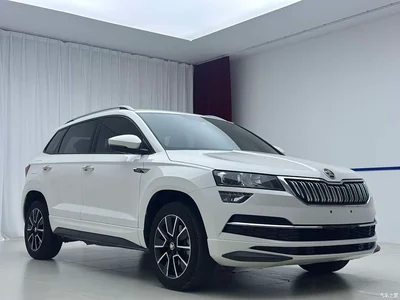 2022 Škoda Karoq TSI280 Premium Edition, фото 3, лот 10348581