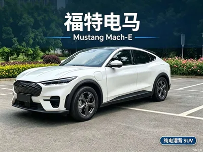 2021 Ford Mustang Mach-E Leap World RWD (Standard Range), фото 2, лот 11584718