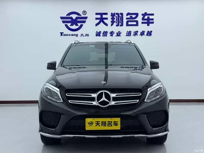 2017 Mercedes-Benz GLE 320 4MATIC Dynamic, фото 2, лот 10296036