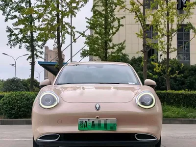2022 Ora Good Cat 400km Standard Range Luxury LFP, фото 1, лот 10804095