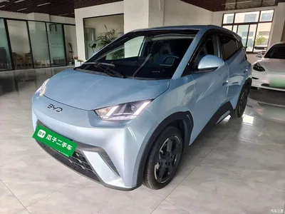 2024 BYD Seagull Glory Edition 305km Freedom Edition, фото 1, лот 10263000