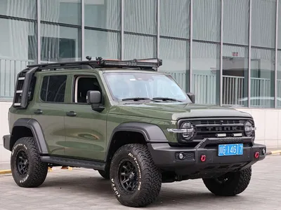 2024 Tank 300 Model 2.0T Challenger, фото 2, лот 10345071