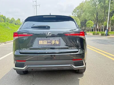 2020 Lexus NX 200 FWD Fengyi Edition China VI, фото 4, лот 10317950