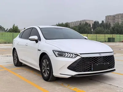 2023 BYD Qin PLUS Champion Edition DM-i 55KM Leading, фото 3, лот 11002508