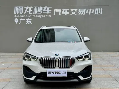 2021 BMW X1 sDrive25Li Leading, фото 2, лот 10407512