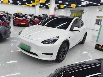 2024 Tesla Model Y Rear-Wheel Drive Version, фото 2, лот 11502904