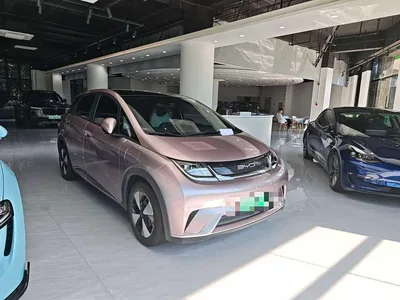 2023 BYD Dolphin 420km Fashion Edition, фото 1, лот 10253884