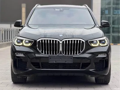 2020 BMW X5 (Import) xDrive40i M Sport Package, фото 2, лот 10464266