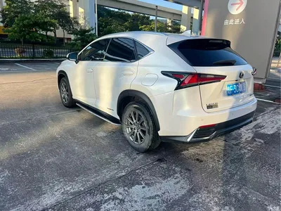 2020 Lexus NX 300h FWD F Sport China V, фото 4, лот 10311662