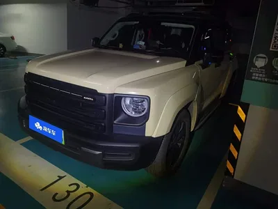 2024 Haval Meng Long NEV Hi4 102 Pro, фото 1, лот 11535189